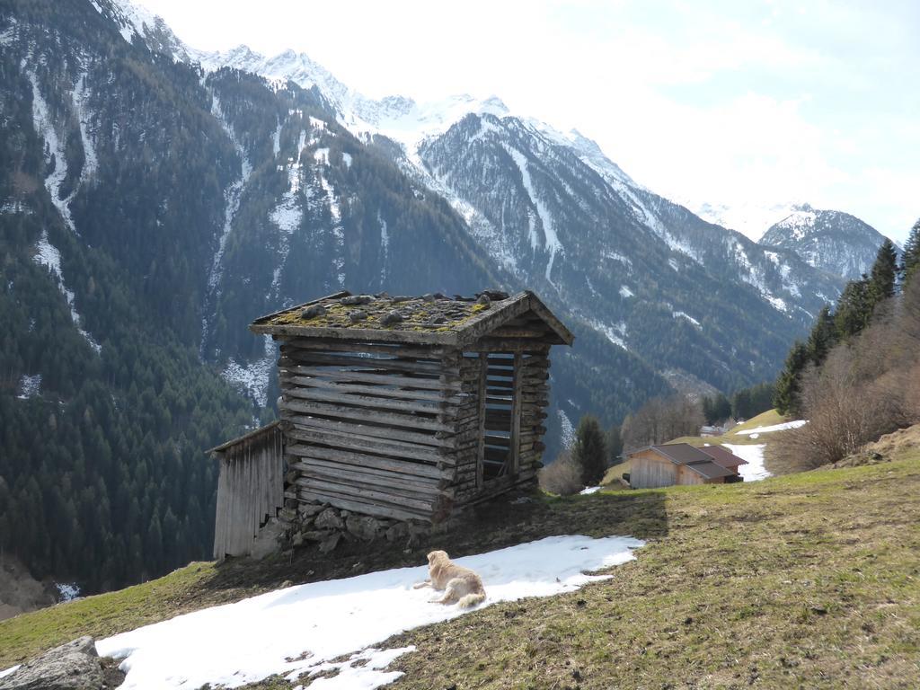 Pension Steinadler Neustift im Stubaital Ngoại thất bức ảnh