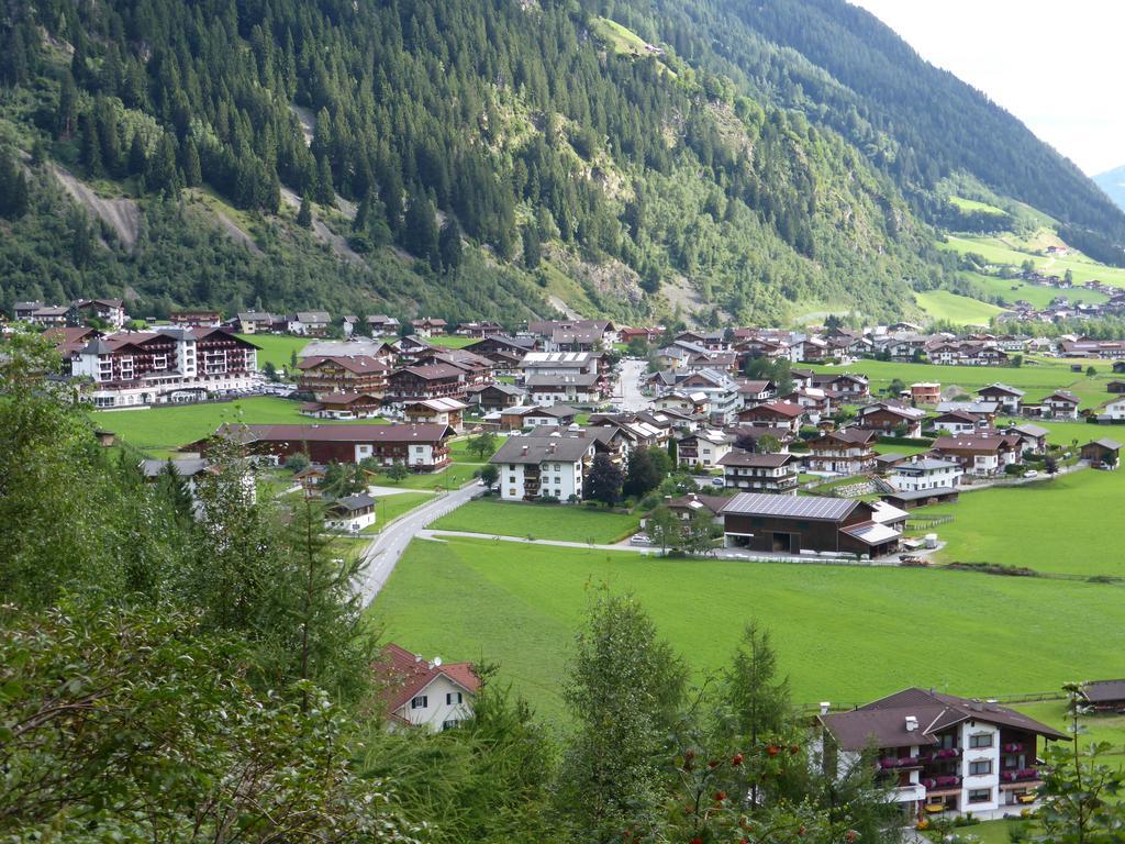 Pension Steinadler Neustift im Stubaital Ngoại thất bức ảnh